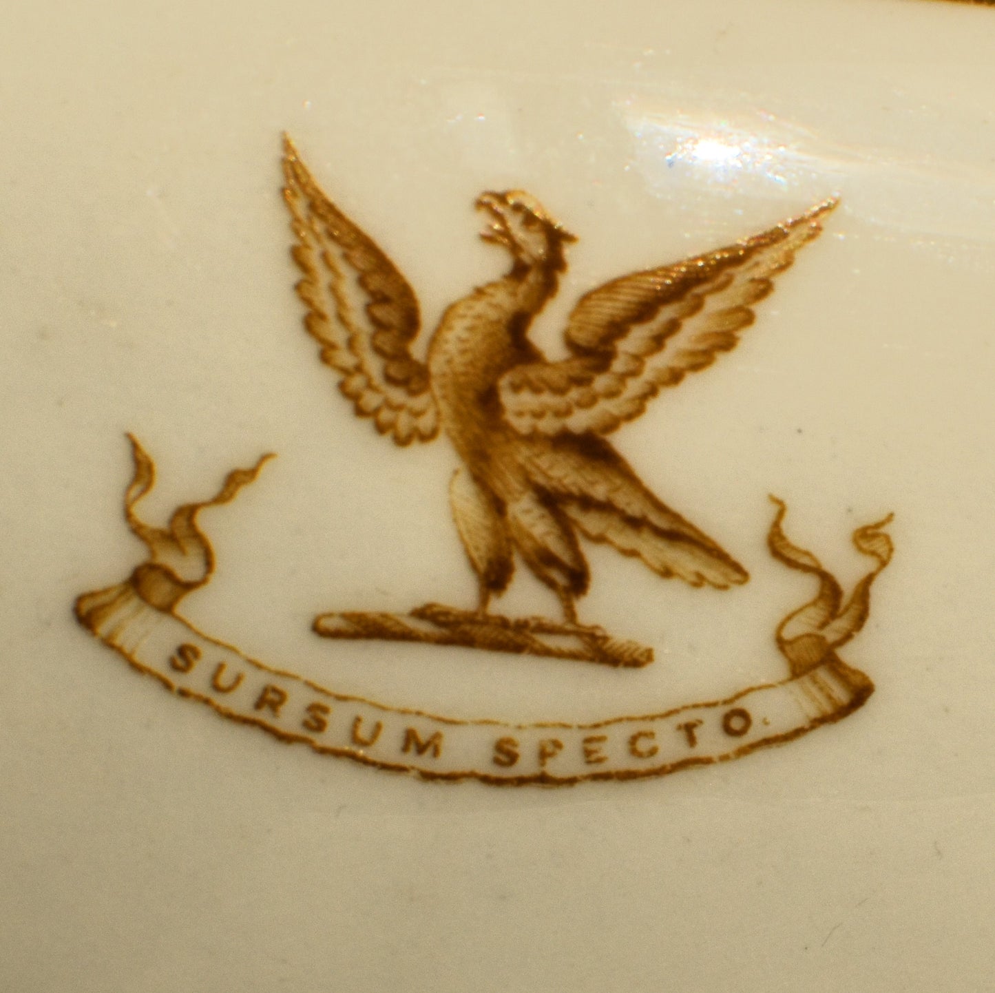 The crest shows a bird of prey with the latin phrase Sursum Specto below