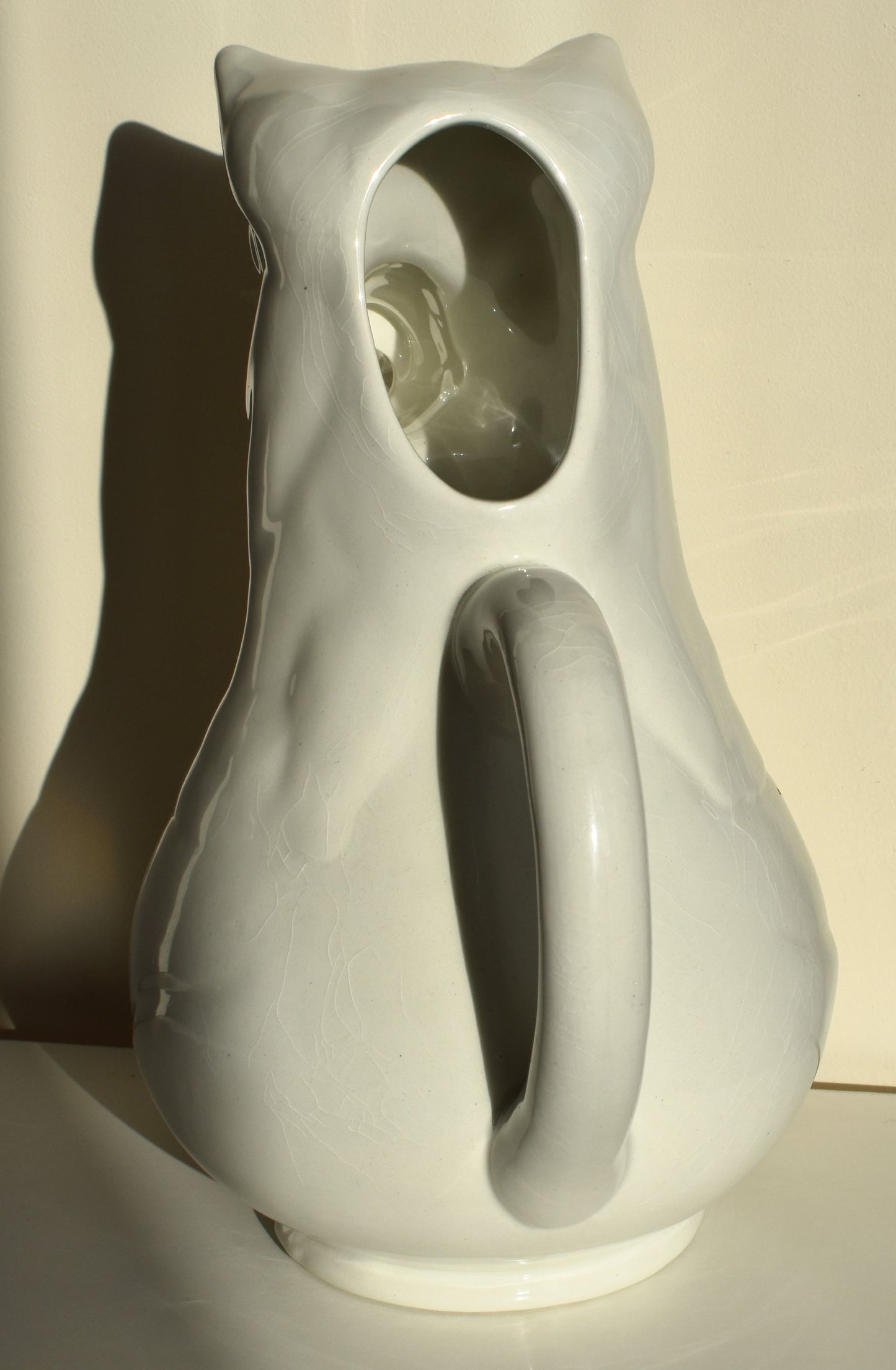 The back of the jug shows the opening for water or other liquid to be poured into the jug, plus the large white handle