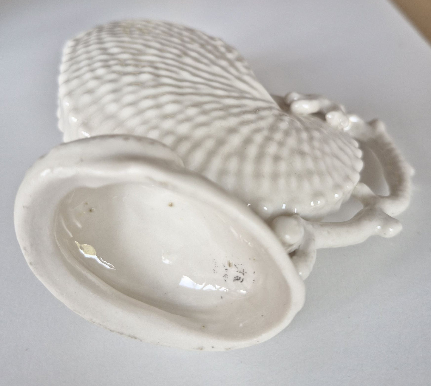 Shell and coral shaped jug