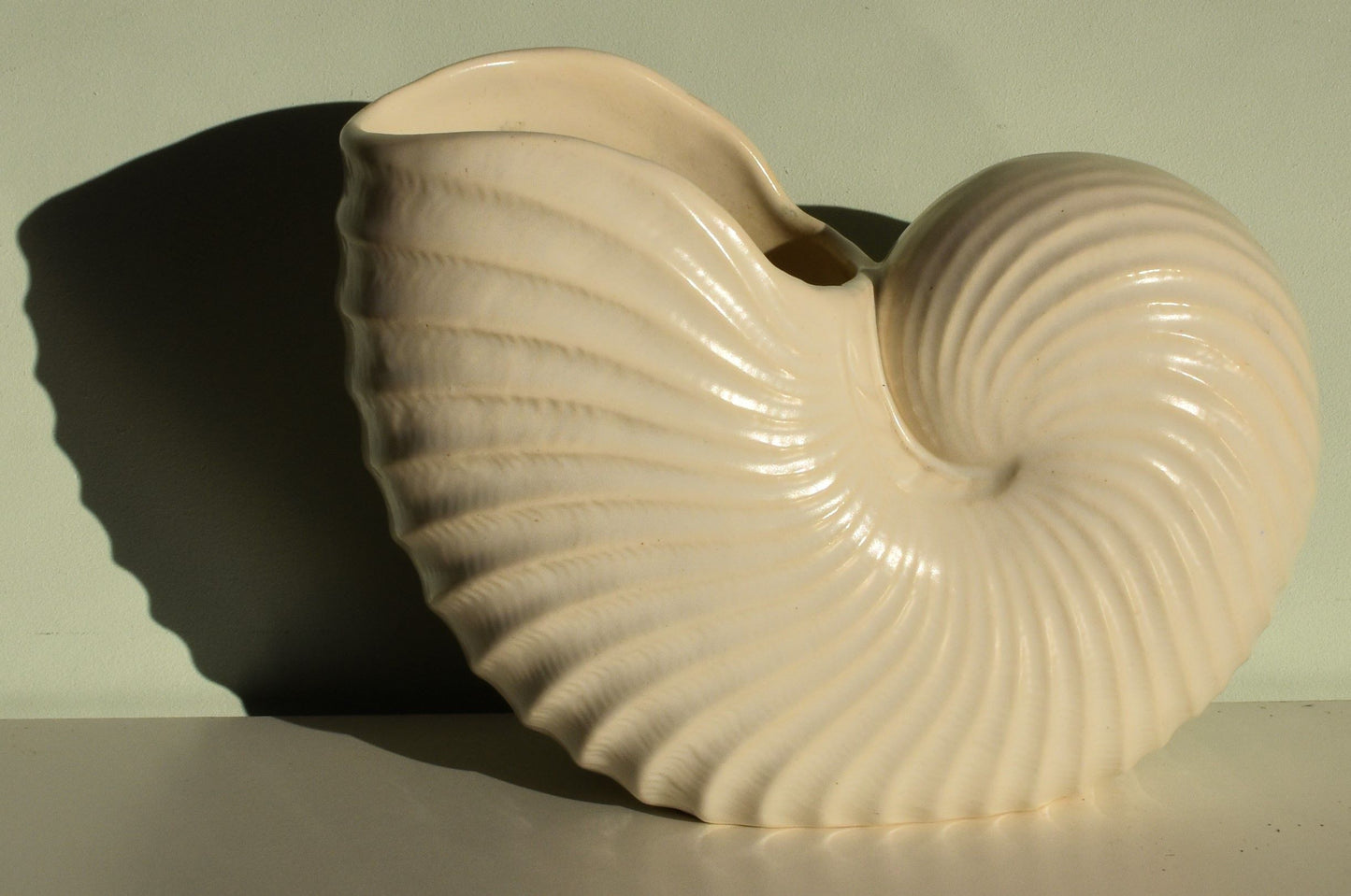 An off white vase in the shape of a nautilus shell