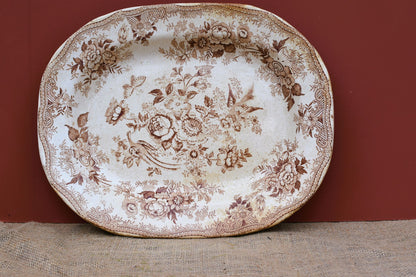Asiatic Pheasant Plate