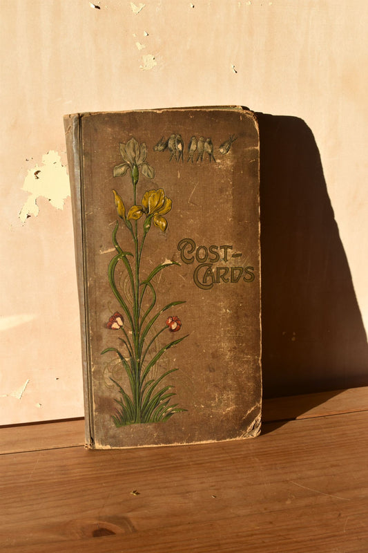 Vintage cloth bound album with art nouveau floral design and 'Post Cards' text on a wooden surface.