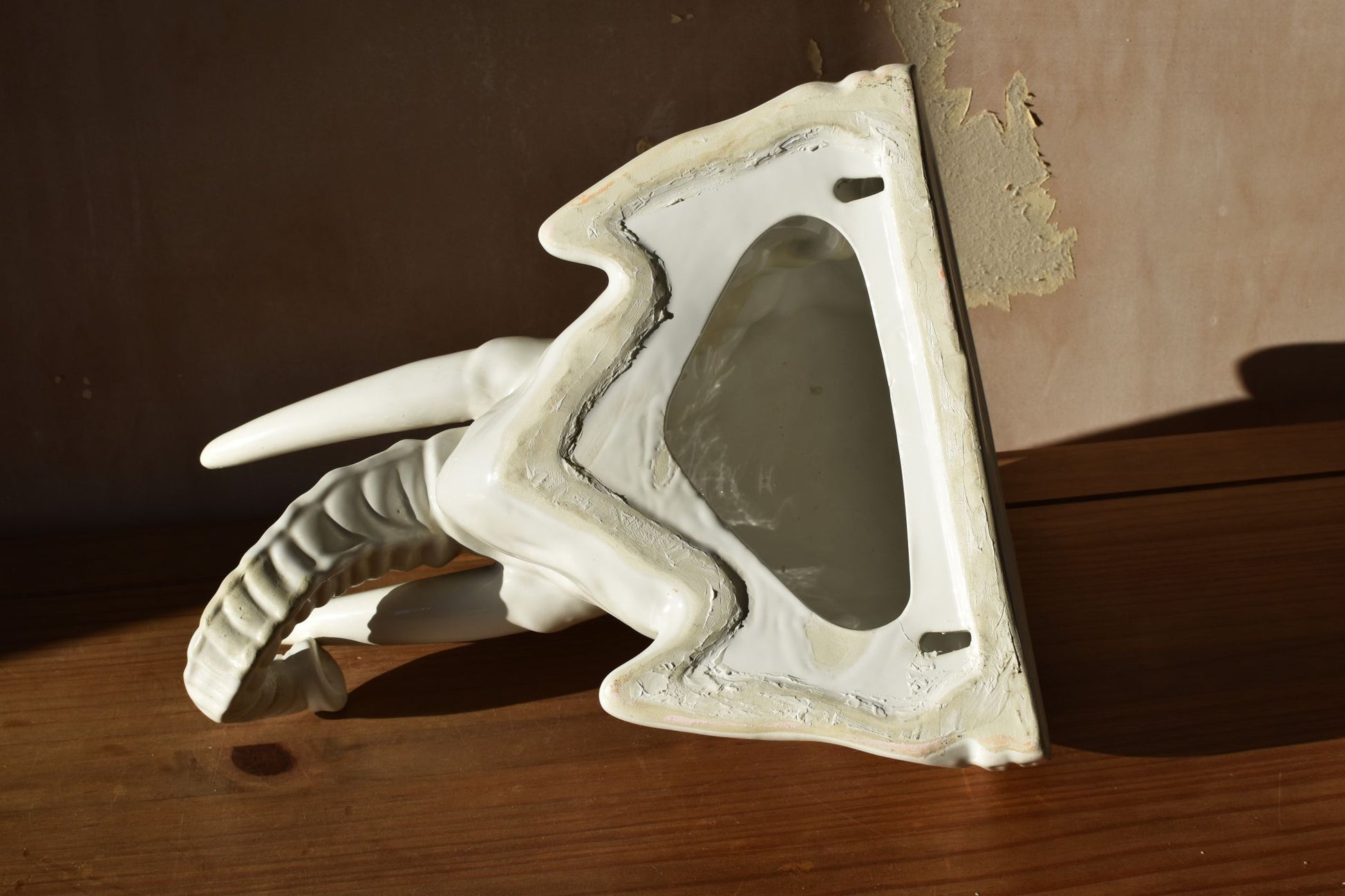 the back of the elephant's head is hollow with 2 fixing points