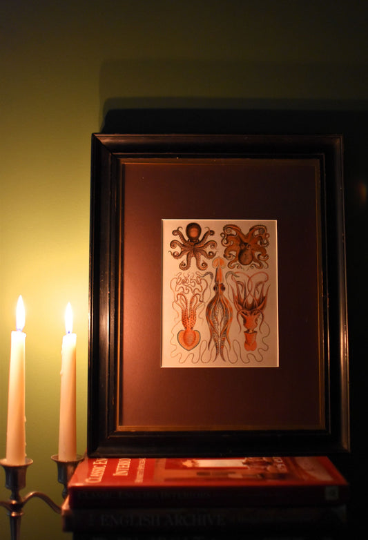 Framed artwork of octopus and squid with candles on a table against a dark background