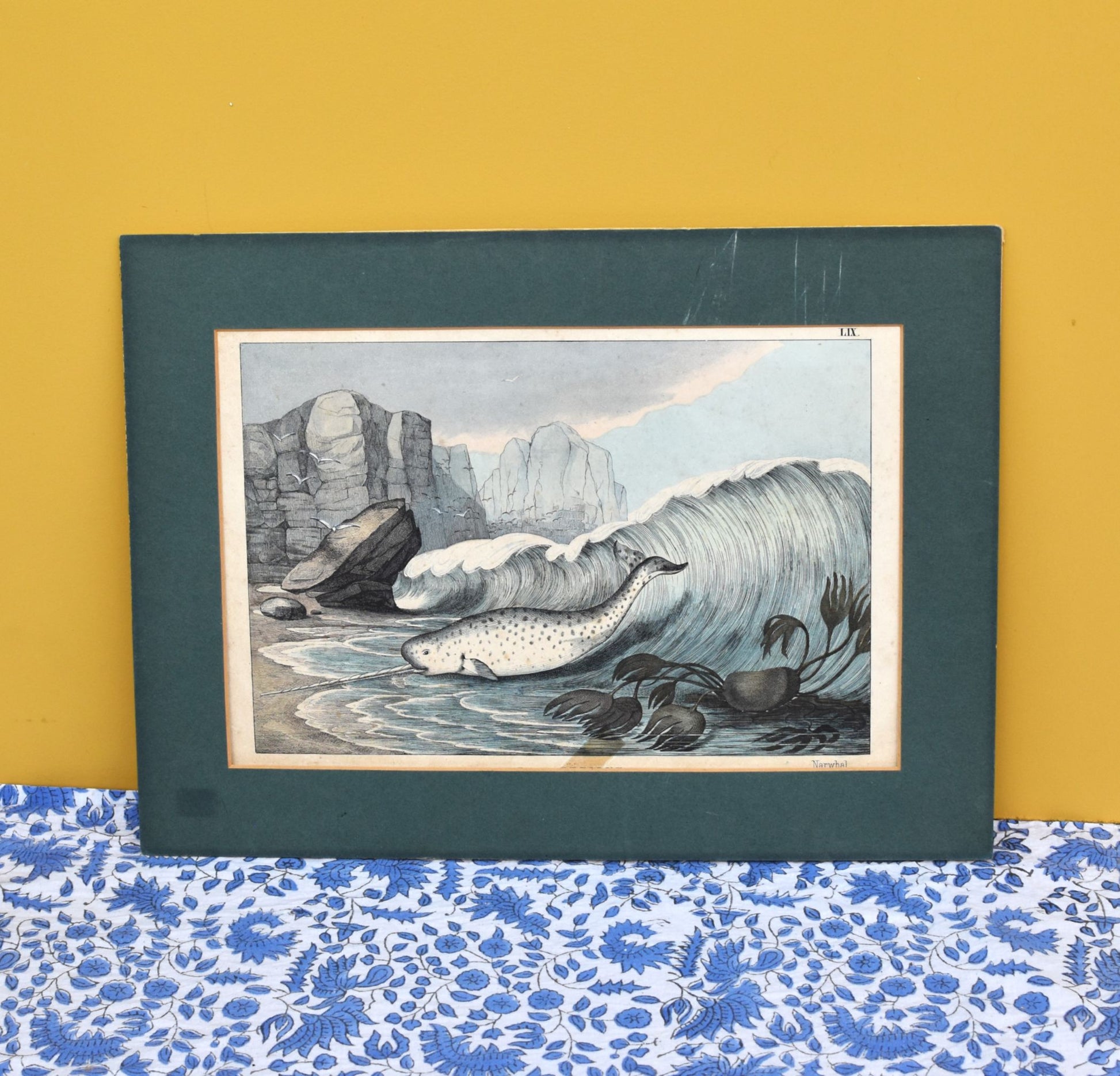 Framed illustration of a narwhal in a natural setting on a yellow wall with a blue floral patterned surface.
