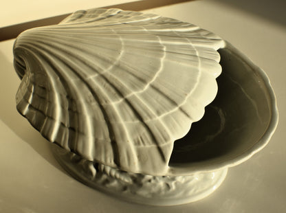 Ceramic shell-shaped vase on a reflective surface