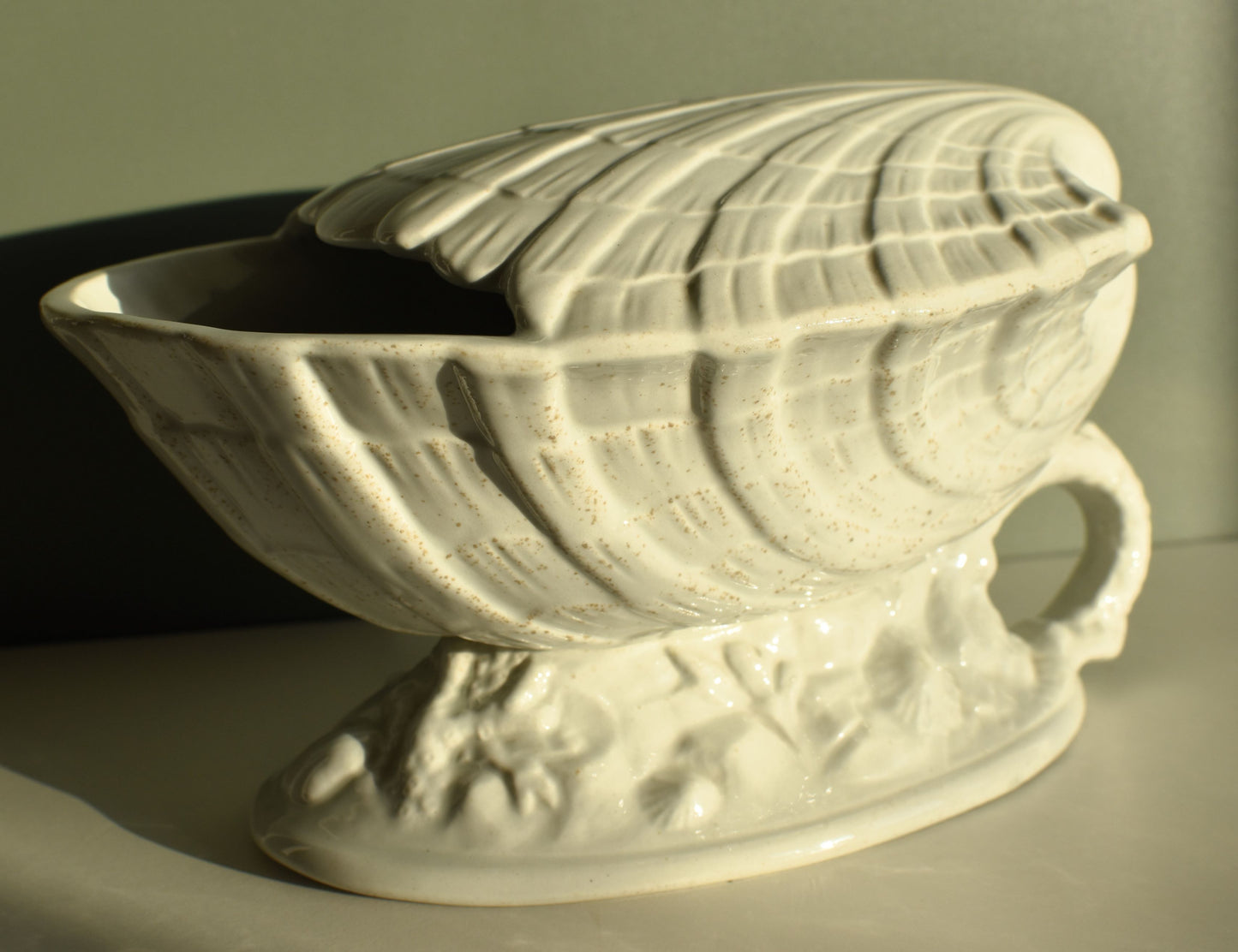 Ceramic shell-shaped bowl on a plain background