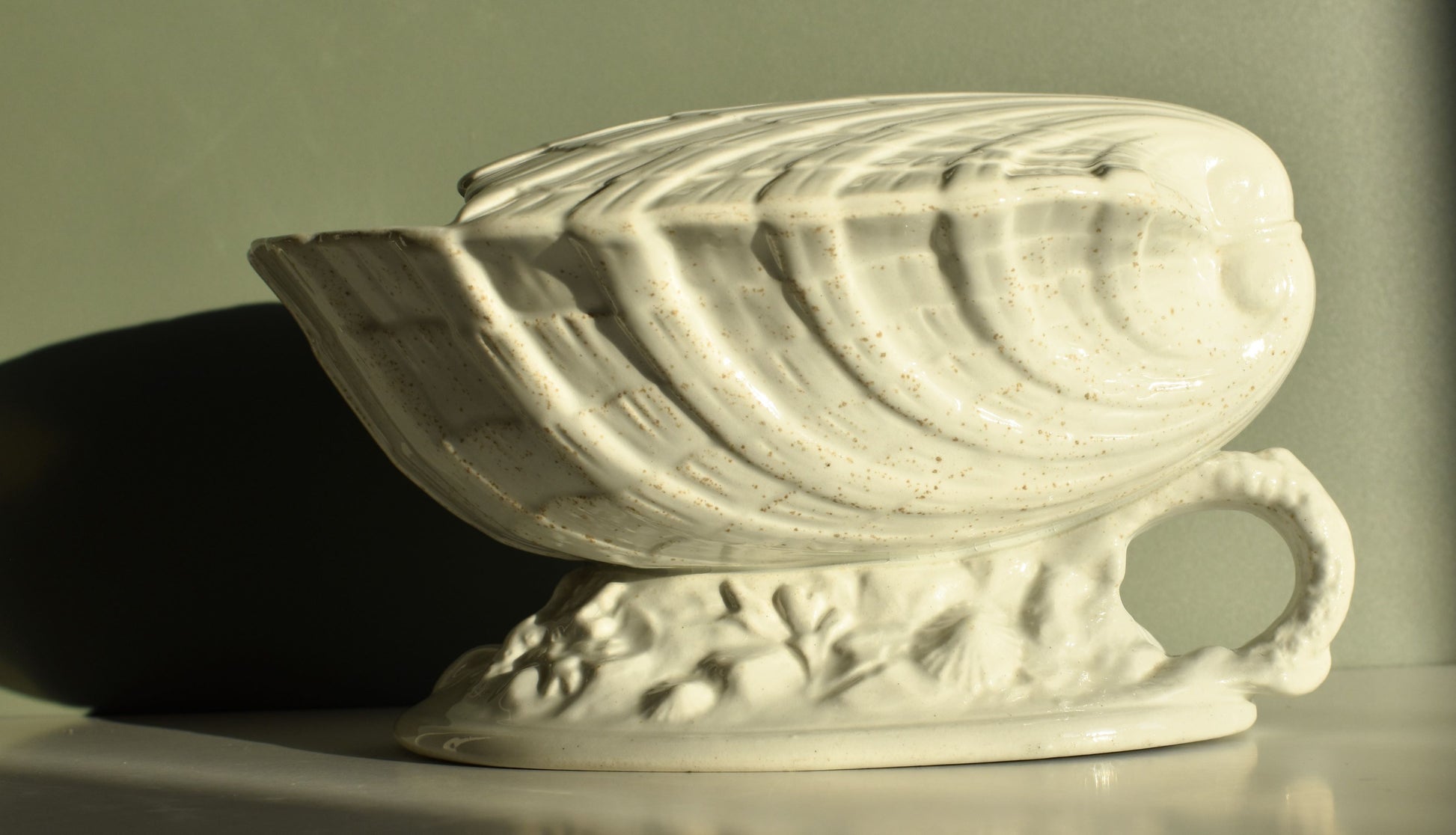 White ceramic shell-shaped object on a reflective surface with a neutral background