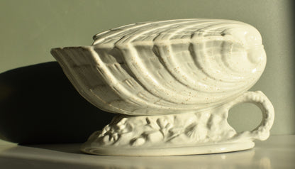 White ceramic shell-shaped object on a reflective surface with a neutral background