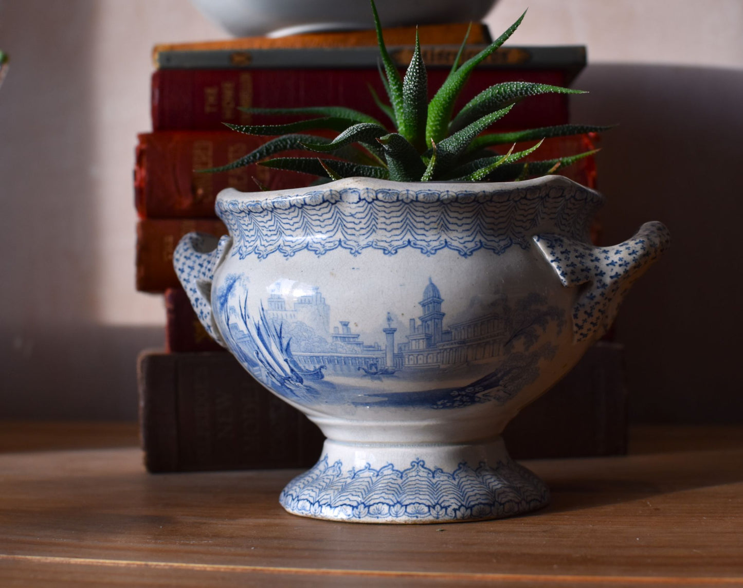 Decorative blue and white urn with a plant on a wooden surface