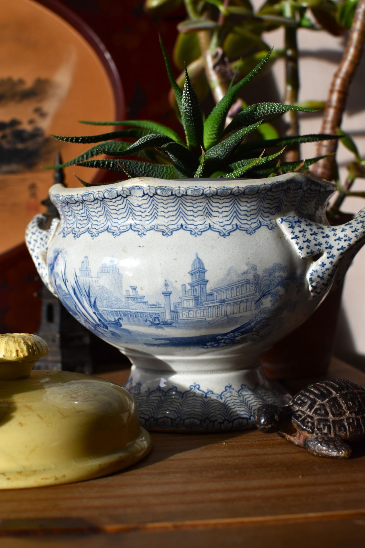 Decorative blue and white pot with a plant on a wooden surface