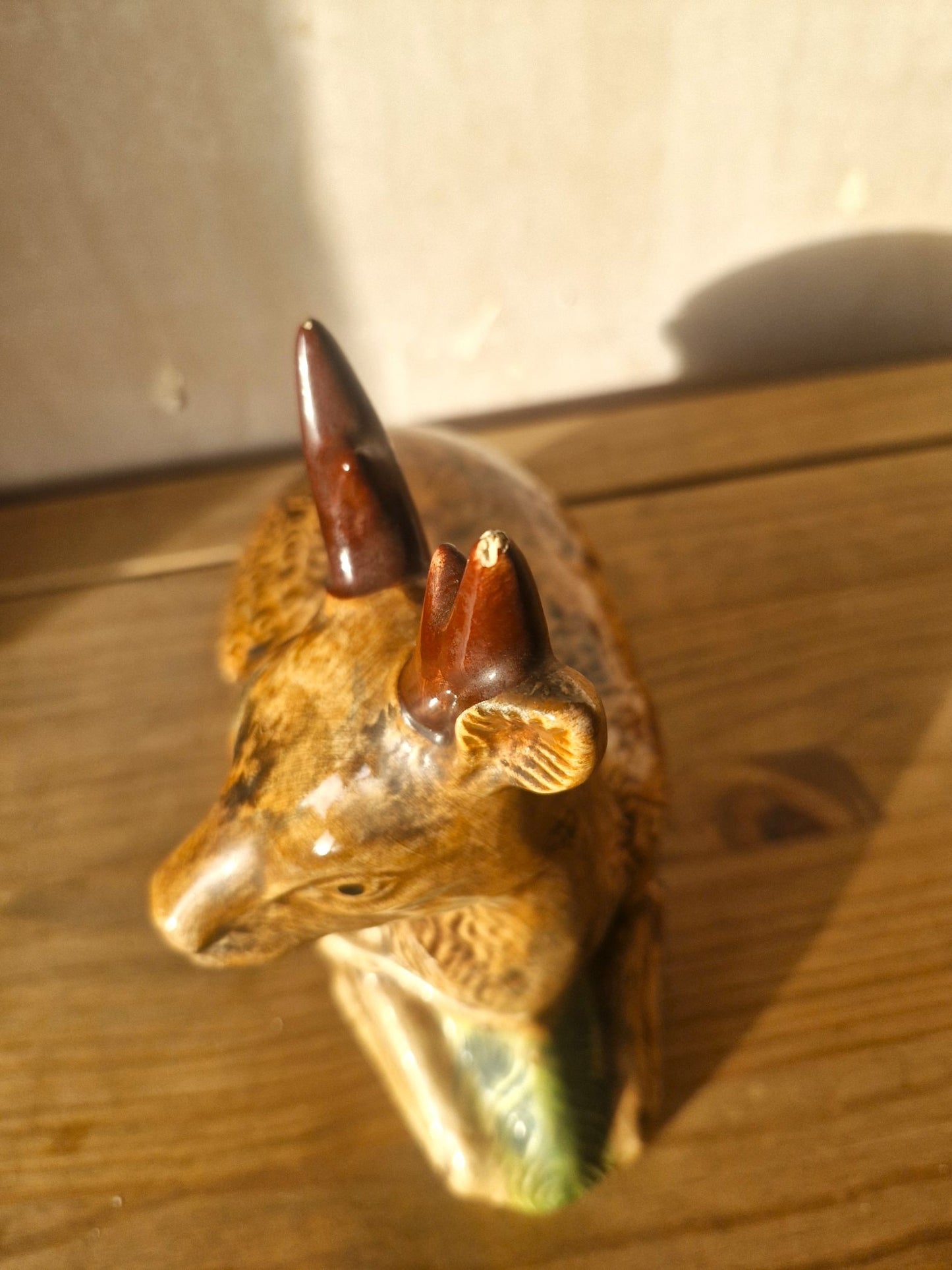 the tip of one antler has a chip