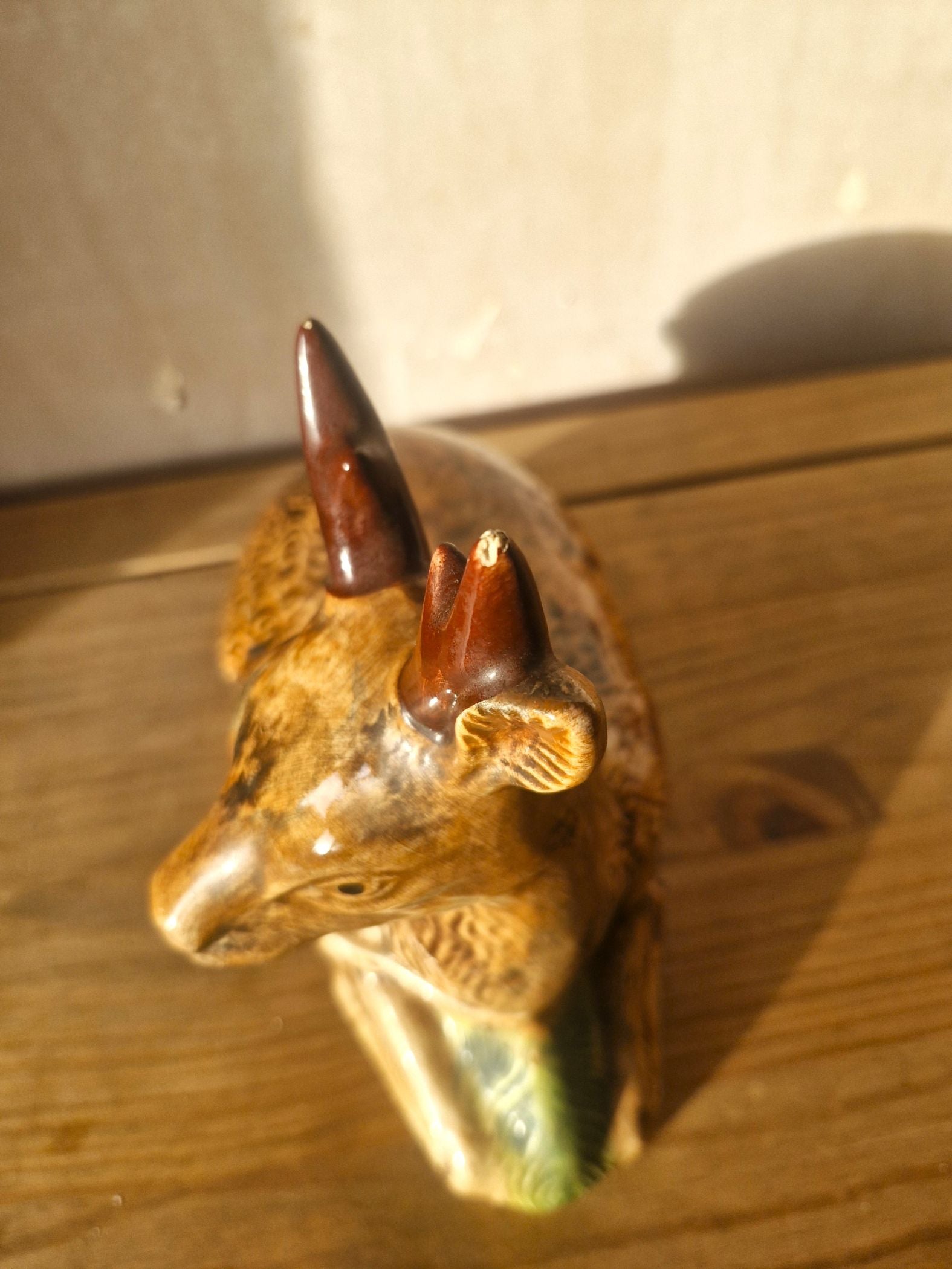 the tip of one antler has a chip