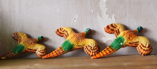 three painted pheasants against a scruffy wall