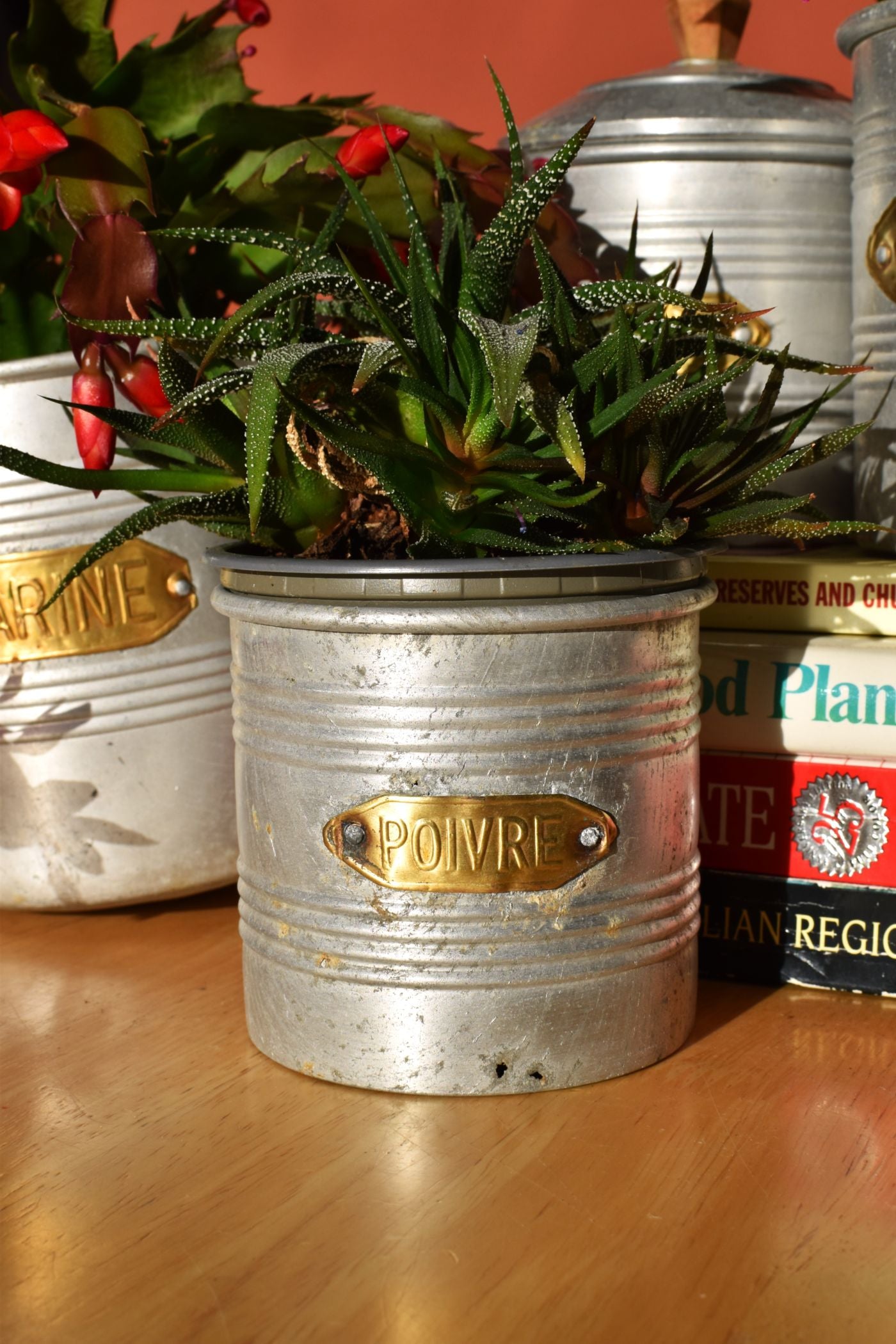 a silver tin with a gold label that reads Poivre has a spiky plant inside it. other tins are behind